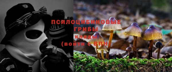 героин Вяземский