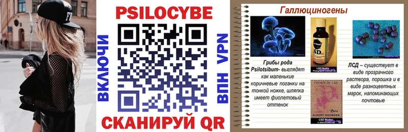 Галлюциногенные грибы Psilocybe kraken рабочий сайт Абакан где купить
